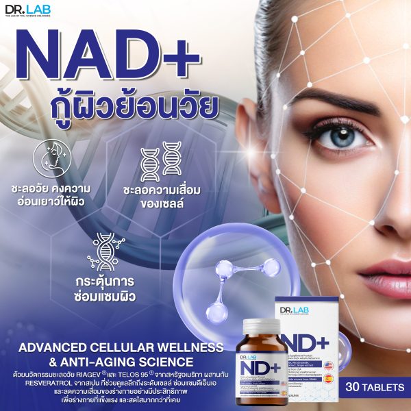 DR.LAB ND+ Dietary Supplement Product - Image 2